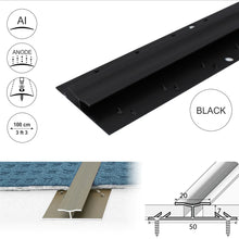 C61 20mm Anodised Aluminium Dual Edge Carpet Profile